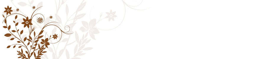 �����̔�N�O���l�����Ɖ��l�ƎЉ�v���𗼗�������@